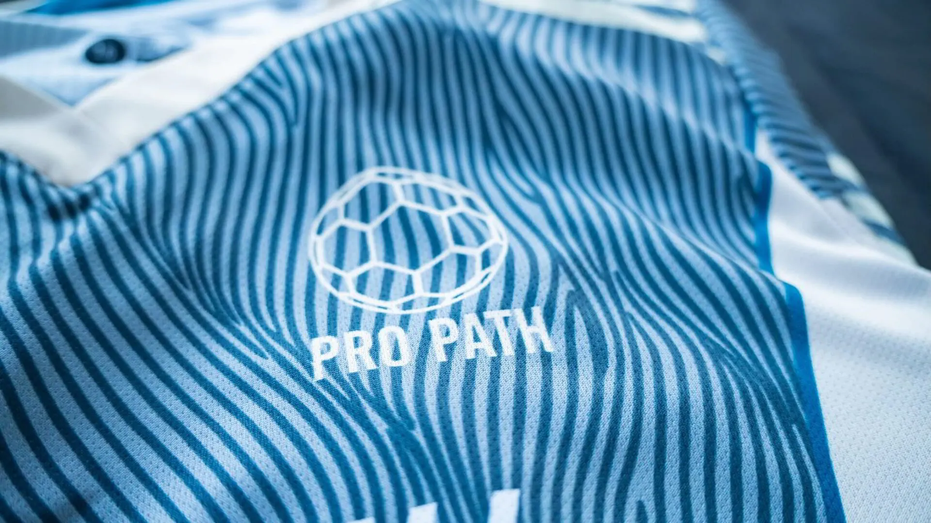 The Pro Path kit
